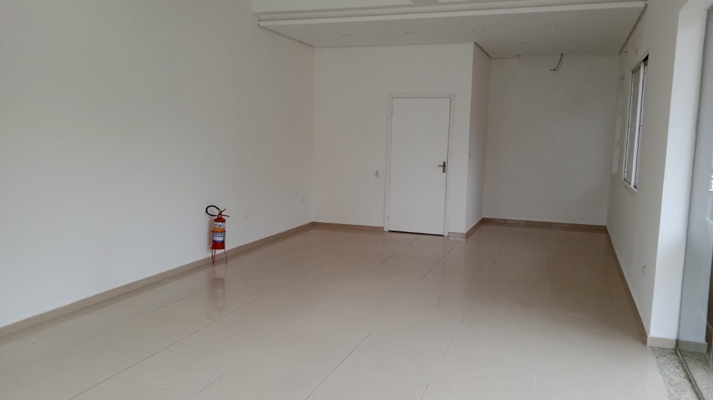 WhatsApp Image 2024-11-05 at 15.48.50